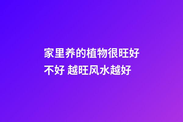 家里养的植物很旺好不好 越旺风水越好